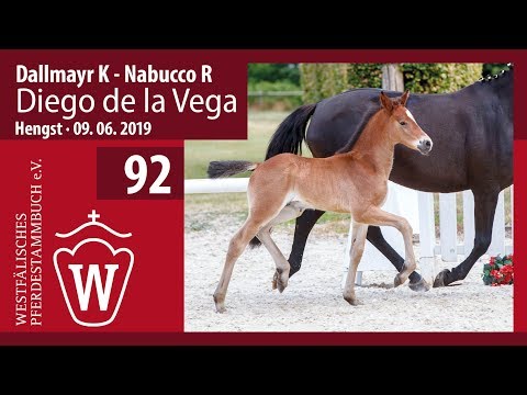 92 Diego de la Vega Hengst v. Dallmayr - Nabucco R
