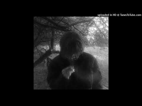 *free for profit* dark digicore archivecore greyrock type beat