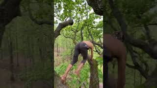 Download lagu The real life Tarzan! 🤩🌴  -  🎥 leo.urban mp3