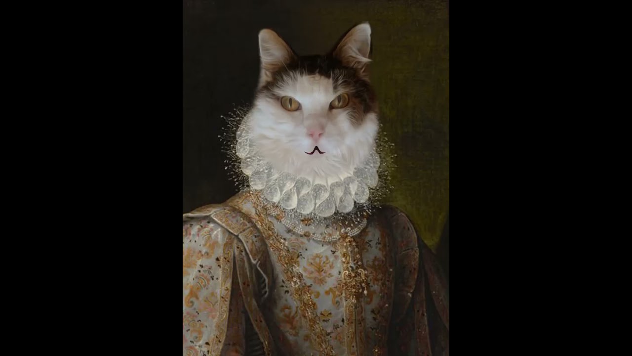 Zeit      #shorts #gfa