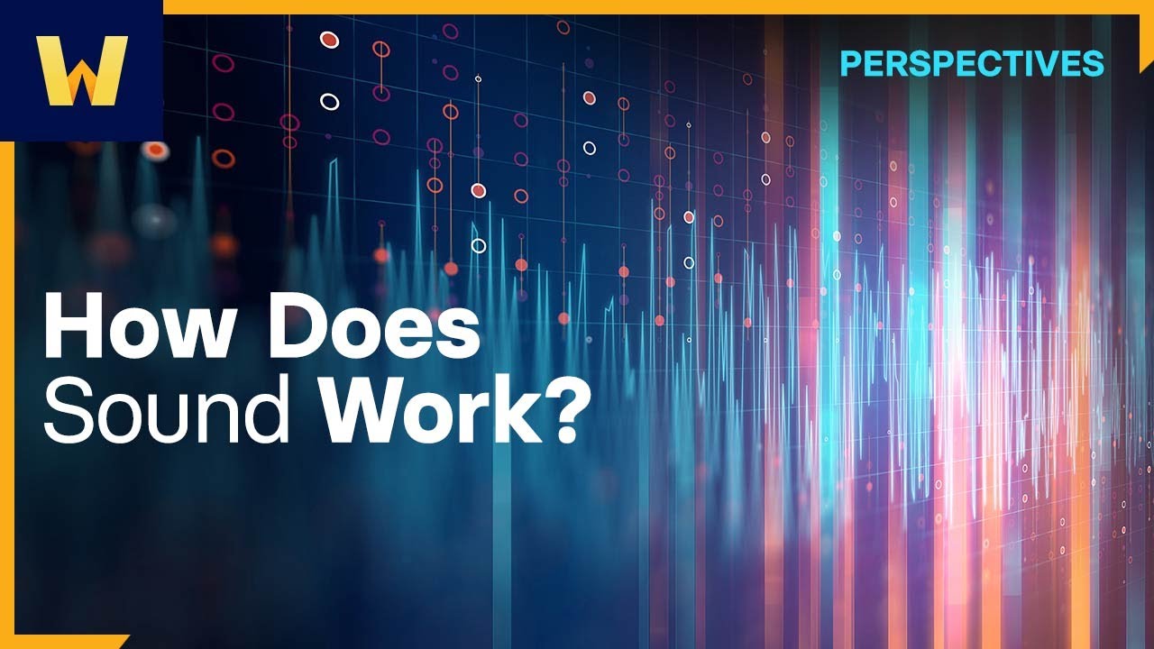 How Does Sound Work?  | Wondrium Perspectives