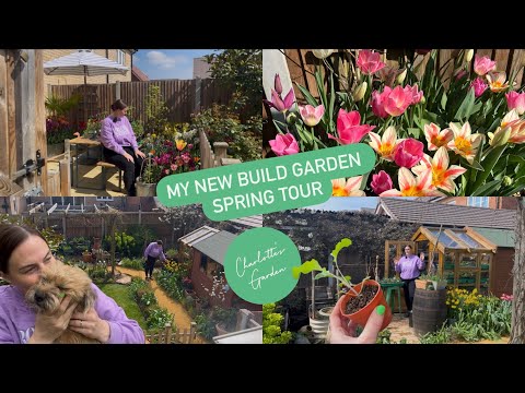 My new build garden - Spring tour 🌱💐🌸🌷🌼