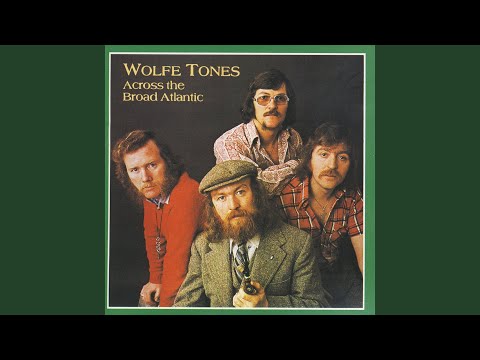 Paddy On The Railway