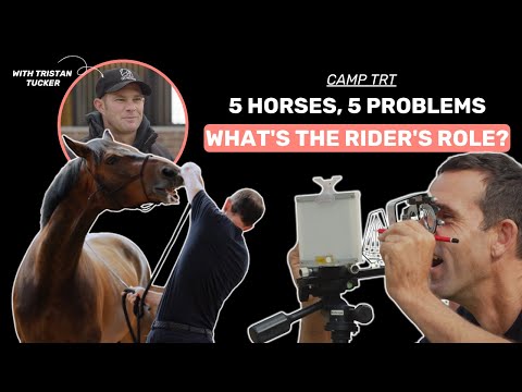 Camp TRT - S1E2 | The real IMPACT of a rider on a horse