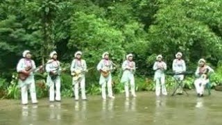 Download lagu maulana malik / syi'iran wali mp3 Download lagu maulana malik / syi'iran wali mp3