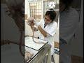 Medical College Dissection Hall Brain And Spinal Cord Shorts Short Ytshorts Shortsvideo Viral