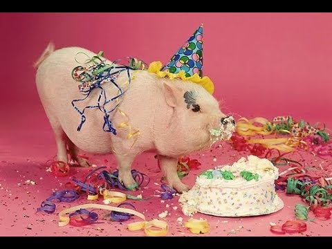 DsPgaming--subs goal reached & bloodborne videos demonetized