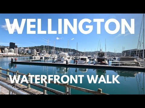 WATERFRONT WALK | Wellington Harbour, New Zealand 🇳🇿 [4K]