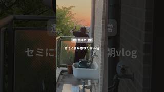 還暦主婦の日常　セミに驚かされた朝vlog