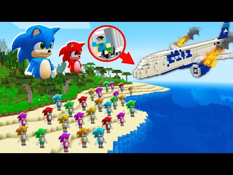 UÇAĞIMIZ BEBEK SONIC ADASINA DÜŞTÜ - 🌴✈️ Minecraft