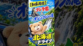 【知床周遊】もふ太もびっくり! ゴジラ岩＆オシンコシンの滝　北海道ドライブ