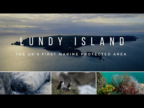 Lundy Island - the UK's first Marine Protected Area