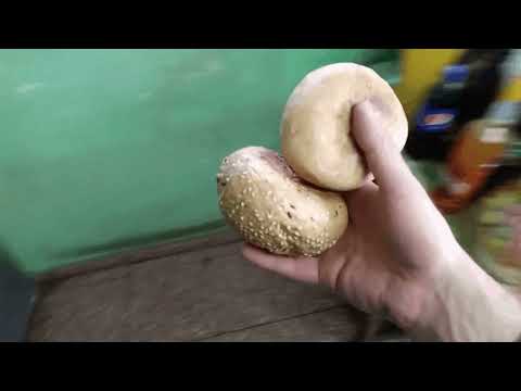 NIGHTCORE - 10 BUŁEK Adrian Nowak Żalno REMIX (prod. ZeZ Band)