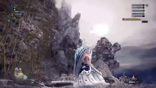 モンスターハンターアイスボーン！　セリエナ祭　周回