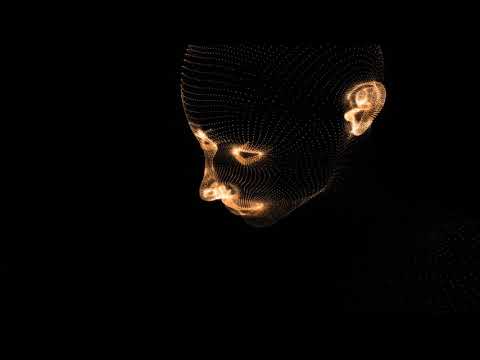 Rabbitmusic - rabbit - S T A B I L I Z E