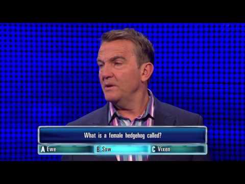 Wilson Gets His Hedgehog Question Right - The Chase