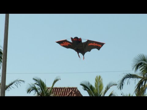 CARMO DO CAJURU: Festival de Pipas agita o fim de semana