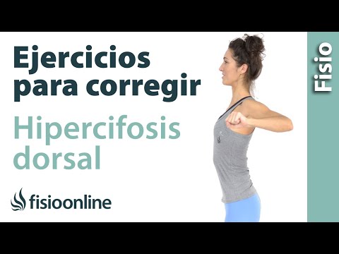 Articolazioni e le ossa sono la stessa cosa Come comportarsi in caso di seno osteocondrosi