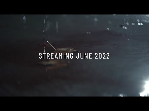 Two Brothers Official Trailer