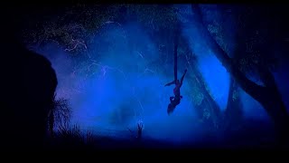 Sia - Déjà Vu Tez Cadey Remix