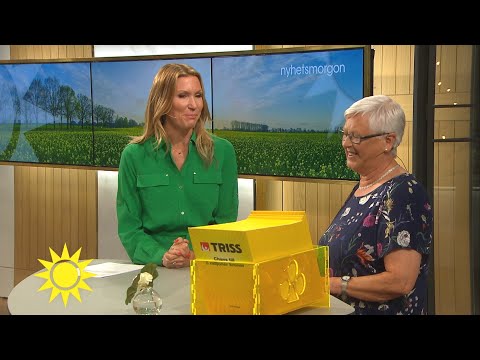 Trissvinnaren från Aneby kan köpa massor av kryddväxter - Nyhetsmorgon (TV4)