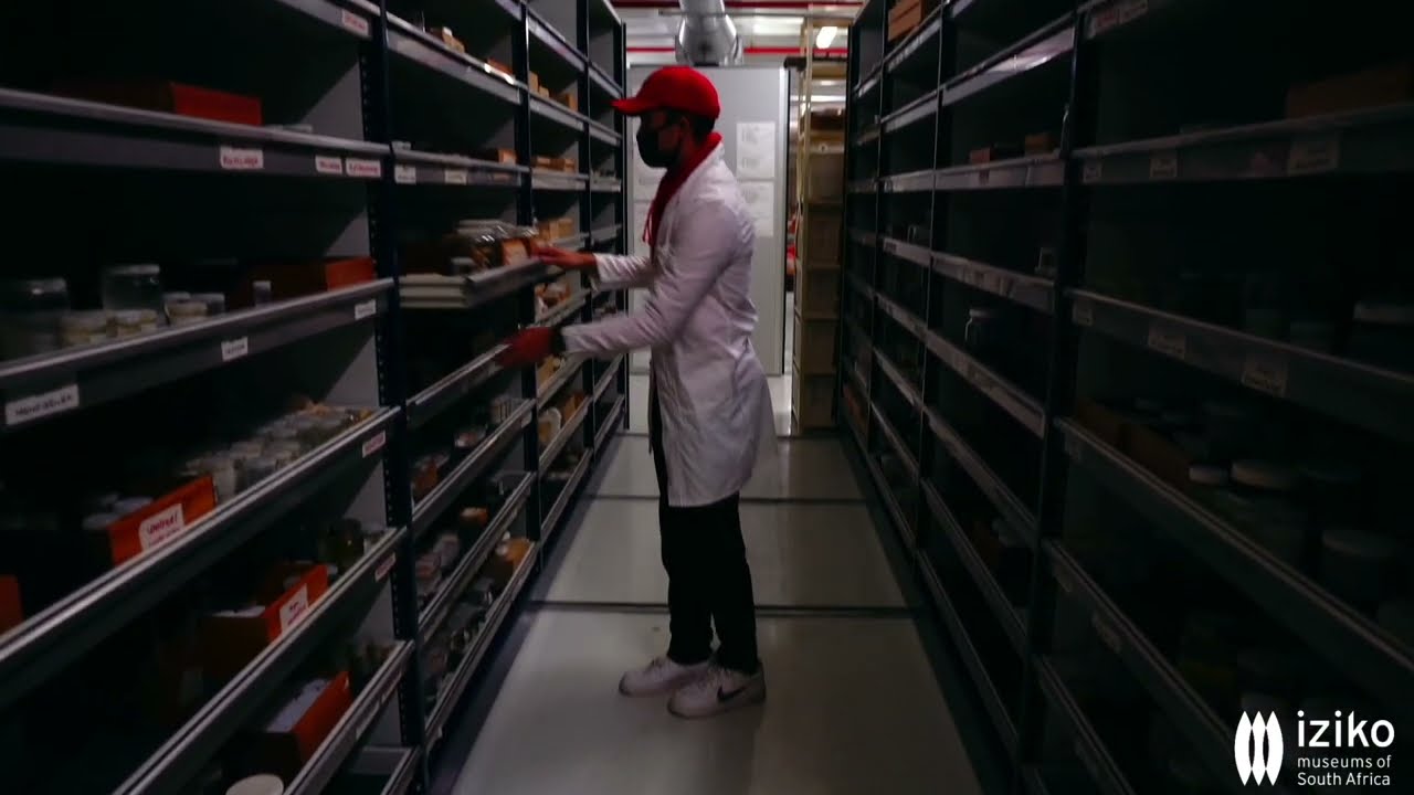 See the Marine Diversity collections on-the-move!