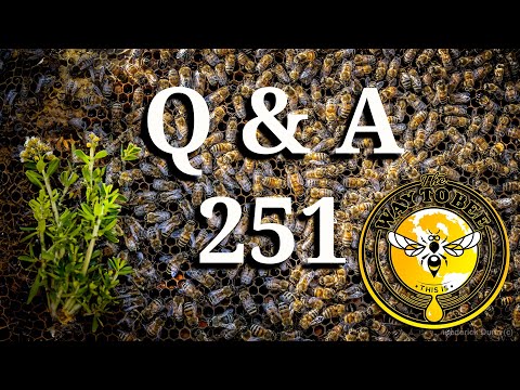 LIVE session, Backyard Beekeeping Questions and Answers Episode 251 Discussing Honey Bees