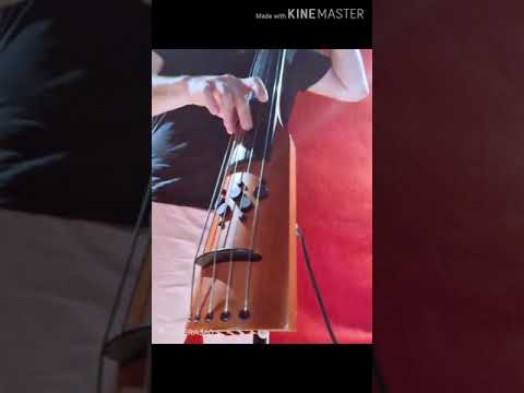 NS Design CR5 Omni Bass 5-String Fretless w/ Heavy-Duty CR Tripod Stand Bild 9