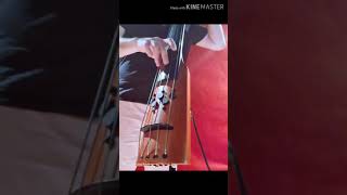Video thumbnail for NS Design CR5M Electric Upright Bass (Quick Demo) by Alfonso Cifo
