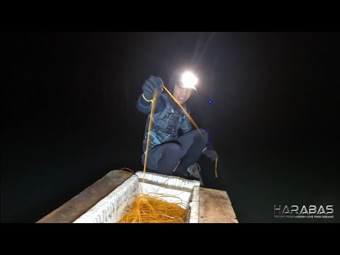 EP721 - P1 - Baramundi Nauwi sa Alimasag | Occ. Mindoro