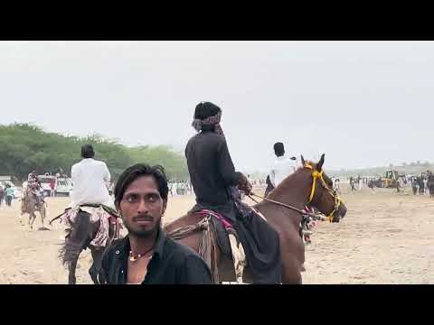 Balotra (RAJASTHAN) horse fair 2024#horselover ##horse #horseriding #horseshow #horser #rewalrace #