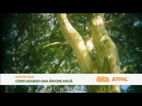 Dica Jardim das Ideias - Como adubar uma árvore anciã.mp4