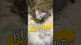 Download lagu Kucing Mau Dikubur mp3