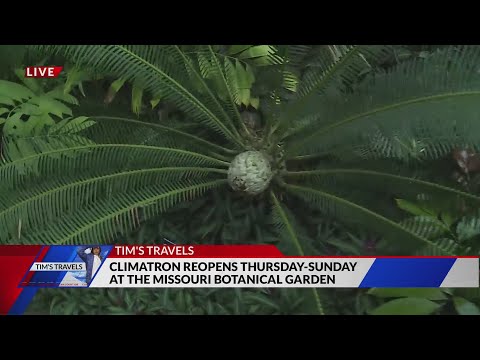 Climatron reopens at the Missouri Botanical Garden