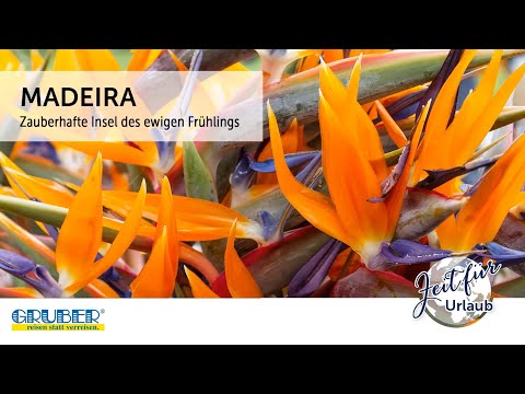 Madeira - Reiseabend 2021