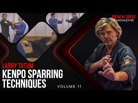 When Kenpo Strikes (Vol 11): Street Sparring For All Belts With Larry Tatum | Black Belt Magazine