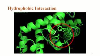 Non-Covalent Interactions