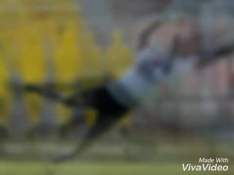 Rap về Neuer  ( có lời bài hát dưới phần mô tả)