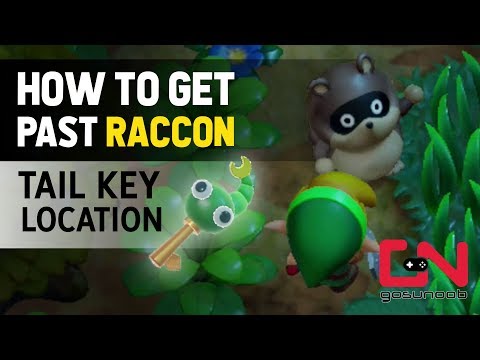 Zelda: Link's Awakening How to Get Past Raccoon - Tail Key Location