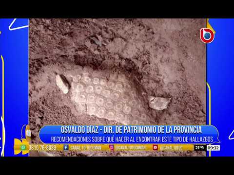 Hallazgo histórico en Alderetes: descubren restos de megafauna en Tucumán