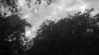 The Dead Weather- Will There Be Enough Water music video