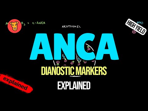 p-ANCA vs. c-ANCA Explained: Diagnostic Markers, Formation Mechanisms (Beginner’s Guide)