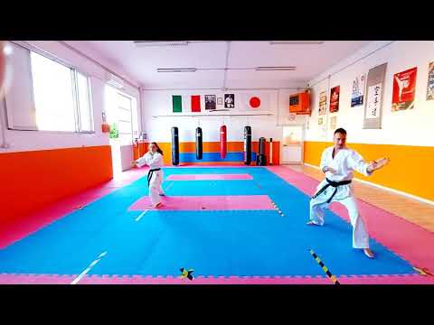 Kihon 3'Dan Shotokan  #Shotokan #Karate #testDan