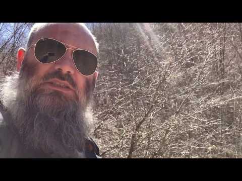 Virusi - Eko Sistemi - Hoxhë Bekir Halimi