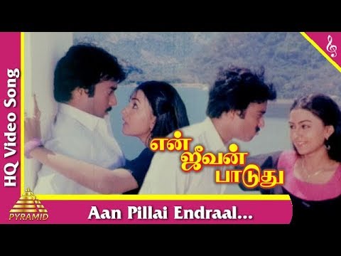 Aan Pillai Endraal Meesai