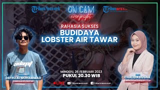 Rahasia Sukses Budidaya Lobster Air Tawar Ala Defrizal Muhammad, Raup Omzet Ratusan Juta