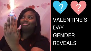 Valentine's Day Gender Reveal Ideas of 2019 Episode #2 / Creative Unique Pregnancy announcements