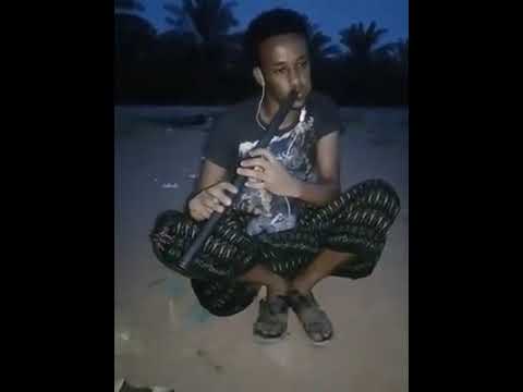 ኣታ ግዜ ንዓይዶ ተመለሲ እሉ መንእሰይ ግዜ ኸፍእዎ