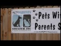 2016 Pets without Parents Shelter, Inc.