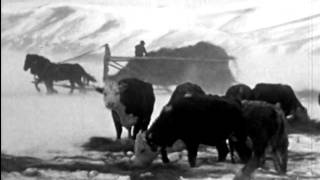 Casper & the Cookies- White Noise